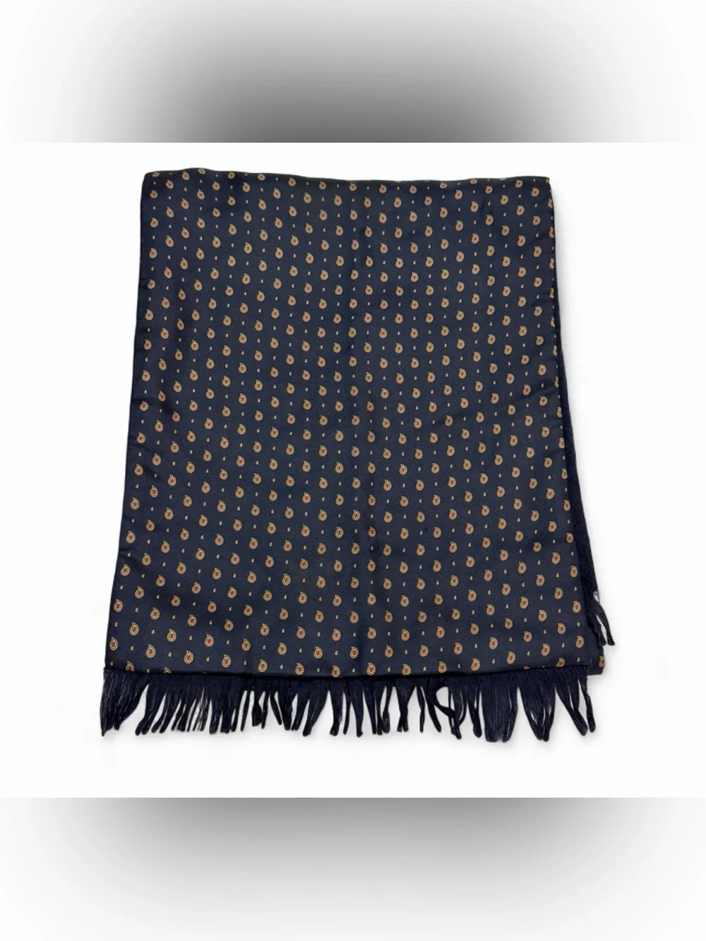 Vintage Geismar-Kaplan Men’s Double Sided Silk Wool Paisley Fringe Dress Scarf
